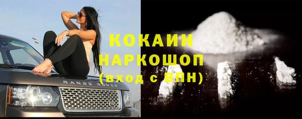 прущий лед Алзамай