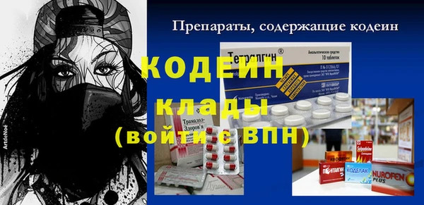 прущий лед Алзамай